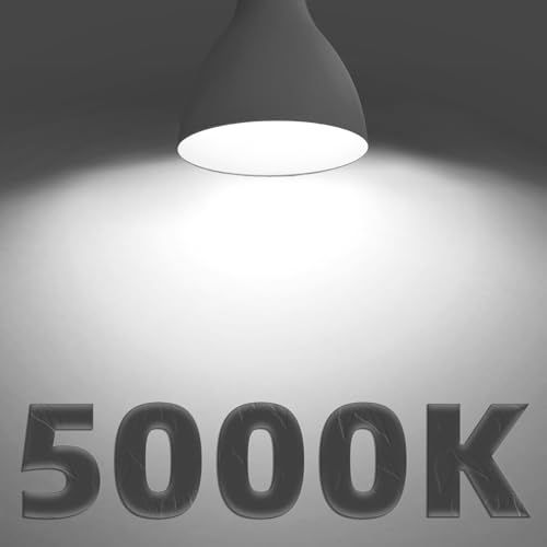 A19 LED Light Bulbs, 60W Equivalent Soft White 2700K, 750 Lumens Non-Dimmable LED Bulbs, Efficient 8.5W, 10000 Hours Long-Lasting E26 Base Standard Bulbs for Bedroom Living Room Kitchen, 10 Pack A19 LED Light Bulbs, 60W Equivalent Soft White 2700K, 750 Lumens Non-Dimmable LED Bulbs, Efficient 8.5W, 10000 Hours Long-Lasting E26 Base Standard Bulbs for Bedroom Living Room Kitchen, 10 Pack - B0GGC652PL