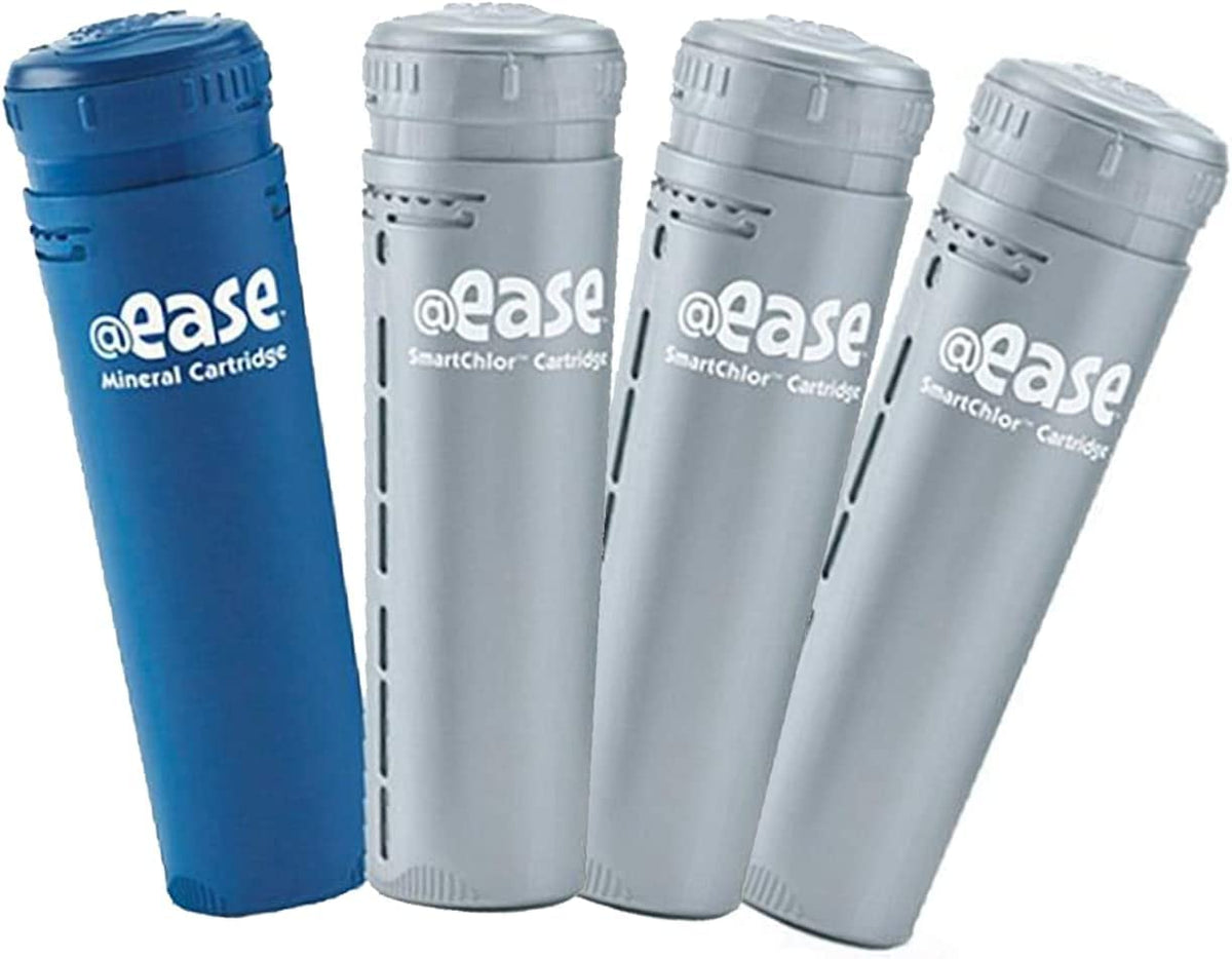FROG @Ease mineral cartridge plus SmartChlor chlorine cartridges beside spa filter