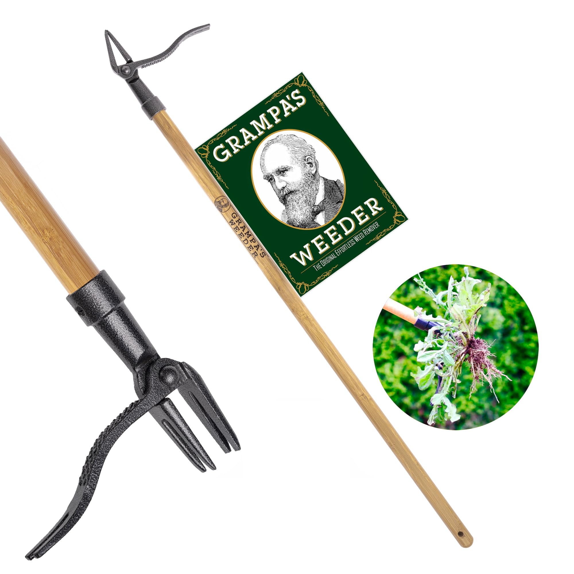 Grampa's Weeder stand-up weed puller with long bamboo handle and metal claw