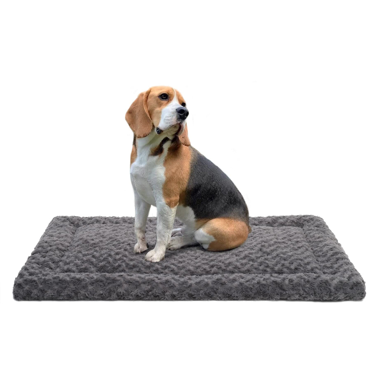 Exsnugy 36x23 fluffy washable dog bed mat inside pet crate